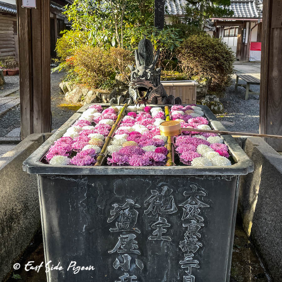 De Ogura-Jinja à Nagaoka-Tenmangu : des temples dans les montagnes de Kyoto